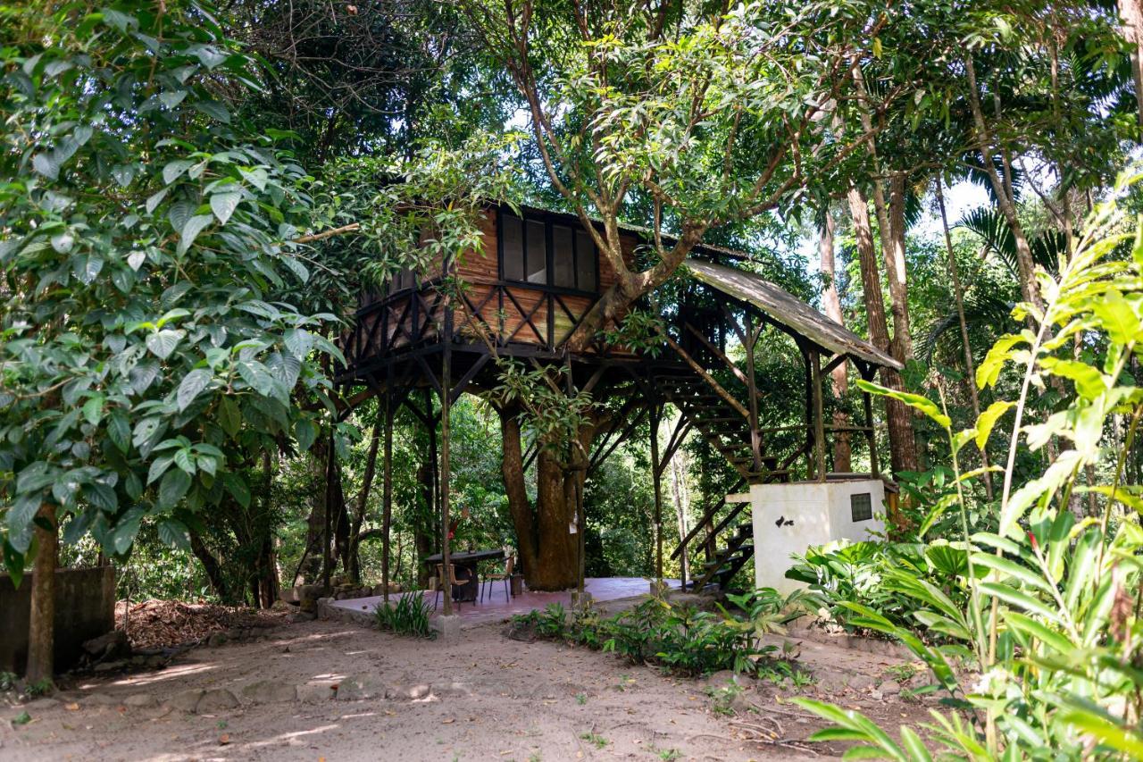 Reserva Biologica Caoba Bonda Exterior photo