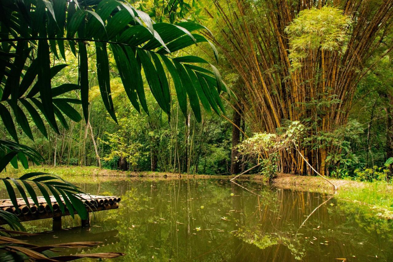 Reserva Biologica Caoba Bonda Exterior photo